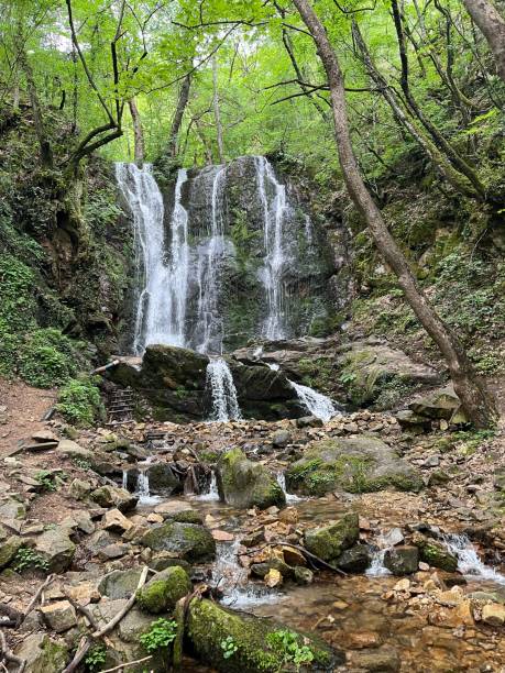 istock Vertical shot of a small waterfall in a forest 1432834819