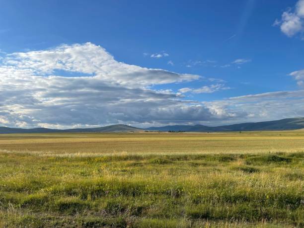 istock Rural green countryside field under a bright blue sky 1432835575