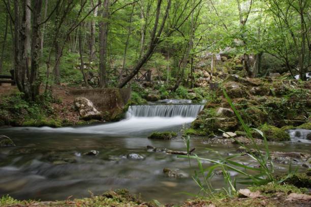 istock Scenic view of a river flowing on stones between green trees and plant, long exposure effect 1432835672