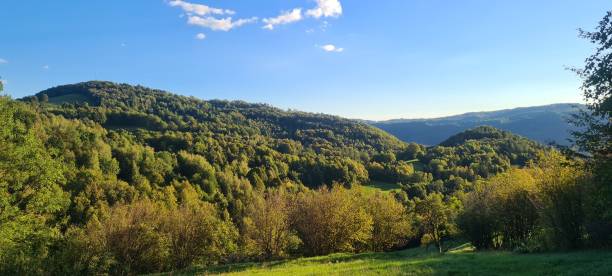 istock Gorgeous landscape with tall mountains and green fields under a bright blue sky on a sunny day 1432835735