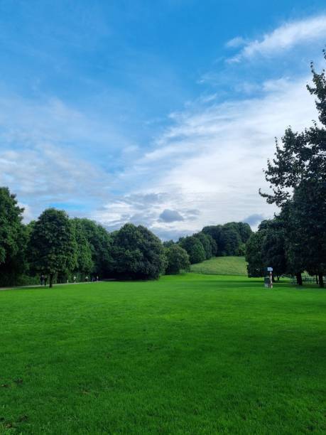 istock Vertical landscape of a green field with forest around under blue sky 1432836254
