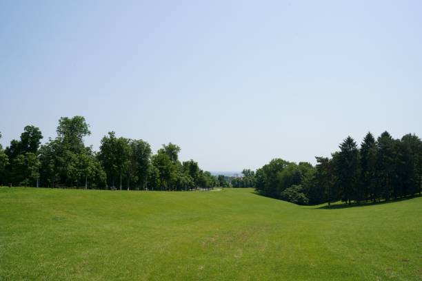 istock Green field with trees in the background against a clear blue sky 1432836294