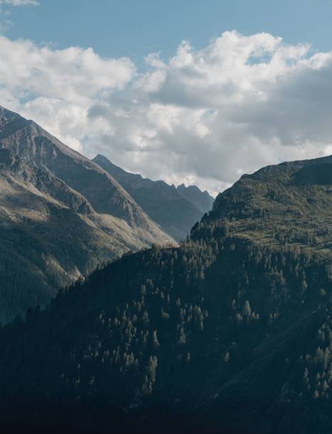 istock Vertical of forested mountains with clouds and blue sky background 1432838767