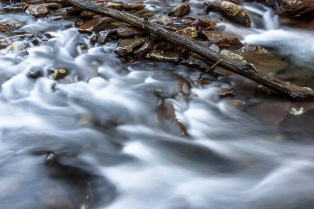istock Closeup of a stone river with a long exposure effect, tree branch, and stones around 1432841027