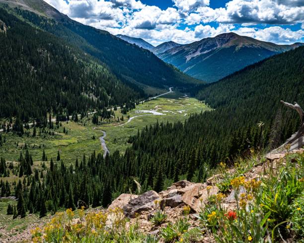 istock High-angle of an Independence mountain pass with forested mountains, blue sky and valleys, Colorado 1432841057
