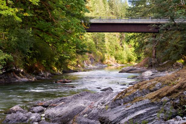 istock View of a high logging road bridge from the beautiful river beneath the bridge on a fall day. 1432842861