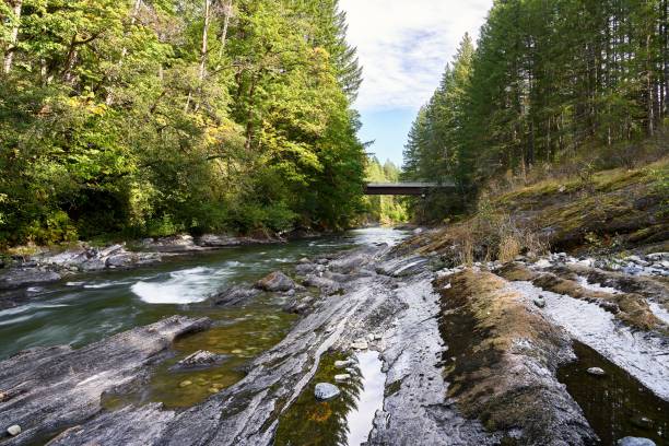 istock View of a distant logging road bridge over a fast moving river on  a fall day 1432842928