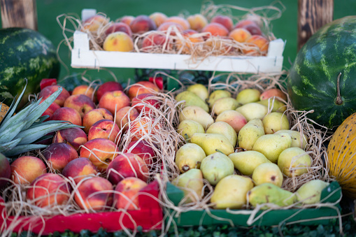 Fresh picked yellow summer peaches at a local outdoor market in wooden bushel crates
