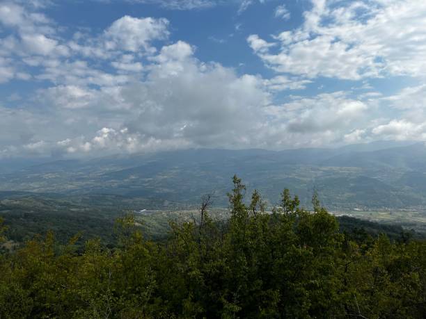 istock Scenic view of a forest and a cloudy sky 1432843513