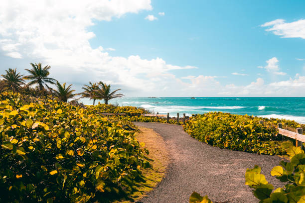 spokojne tropikalne wybrzeże z ładnymi widokami i szlakami z puerto rico piñones la posita plaża - peacefull zdjęcia i obrazy z banku zdjęć