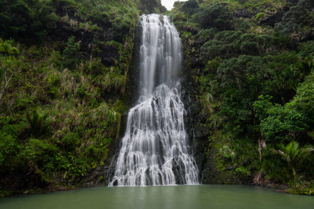 카레카레 폴즈 - karekare falls 뉴스 사진 이미지