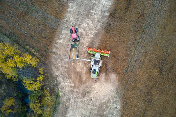 istock Aerial view of combine harvester unloading grain in cargo trailer working during harvesting season on large ripe wheat field. Agriculture and transportation of raw farm products concept 1432850902