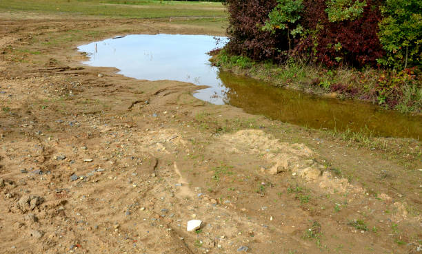 istock too compact and impermeable soil does not absorb water during rains and floods. a lake was created in the park in the lawn, which gradually infiltrates. damage to the lawn long flooding.  water push 1432853548