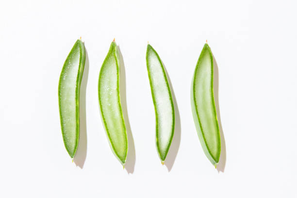 istock Fresh sliced aloe vera isolated on white background. 1432854232