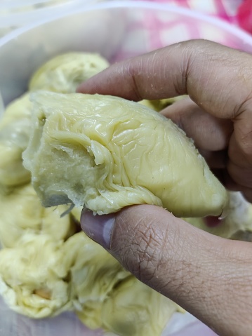 Close up durian flesh yellow gold on shop's display. Bright yellow tropical fruit. Yellow banner background from tropics