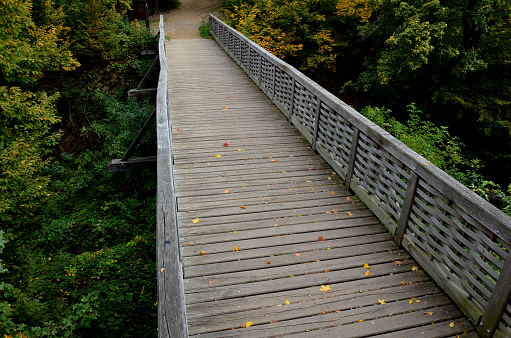 Medieval oak wood, bolted. Bridge over the moat. the railing is made of massive beams, between which several thin oak rods are woven between the vertical warp. Zigzag like knitting a wicker basket.14 century, curved, grafting, across