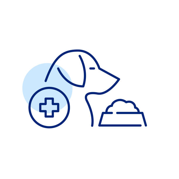 illustrations, cliparts, dessins animés et icônes de prescription et régime alimentaire pour besoins spéciaux pour les chiens. icône de ligne de contour modifiable et parfaite au pixel près - grooming product