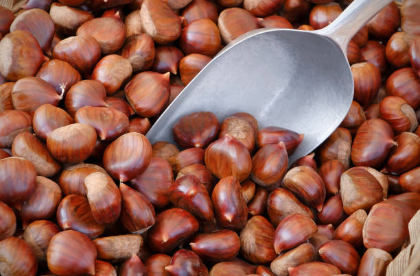 Fresh chestnuts at the farmer's market.
