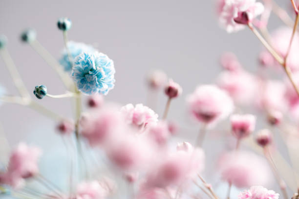 Flowers edited to have a psychedelic feel