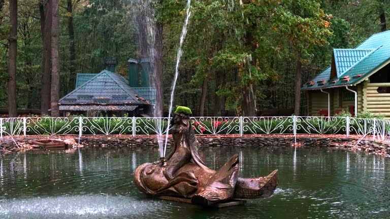 Decorative fountain in the middle of the pond. Wooden structure: A mermaid sits on a rock.