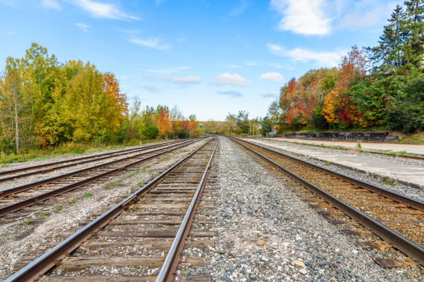 Deserted railroad Tracks lined with colourful autumnal trees at a train station on a clear day. Huntsville, ON, Canada.