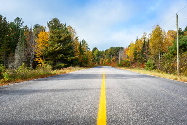 istock Autumn colours along an empty road on a sunny day 1432866255