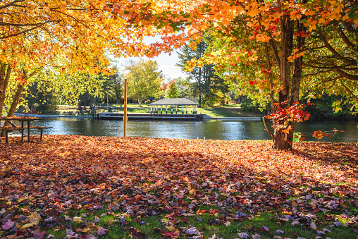 View of a deserted riverside park covered in fallen leaves on a sunny autumn day