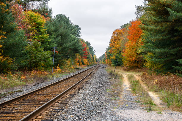 istock Railroad tracks in a forested landscape on a cloudy autumn day 1432866442
