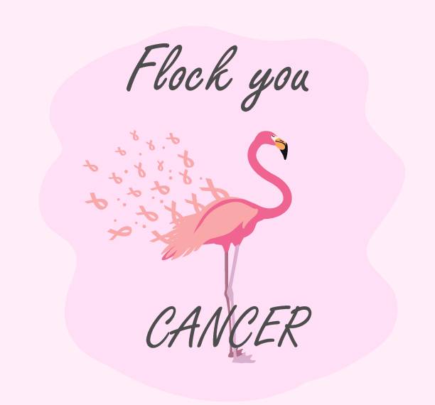 Flamigo_ribbon5 Breast cancer awareness symbol. Flock you cancer text with flamingo and pink ribbons beast cancer awareness month stock illustrations