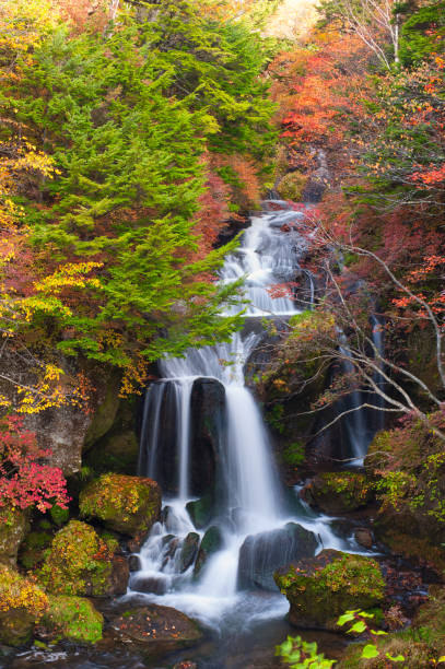 istock Ryuzu Falls and Autumn Leaves 1432867608
