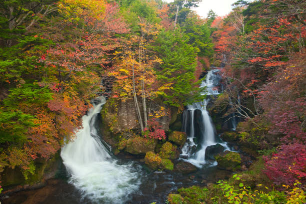 istock Ryuzu Falls and Autumn Leaves 1432867822