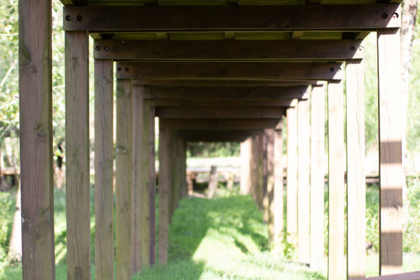 Carreiro veolho Park, Partial view of Pateira de Fermentelos in aveiro district - Portugal