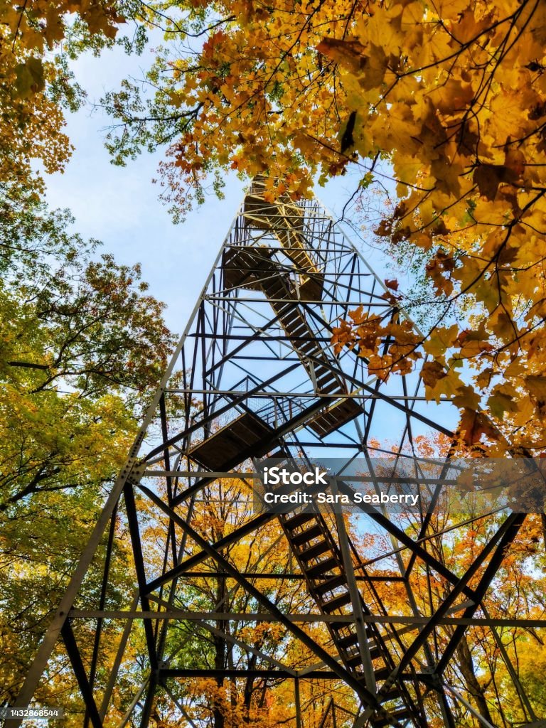 Tall fire tower through autumn trees Fire tower in state forest Autumn Stock Photo