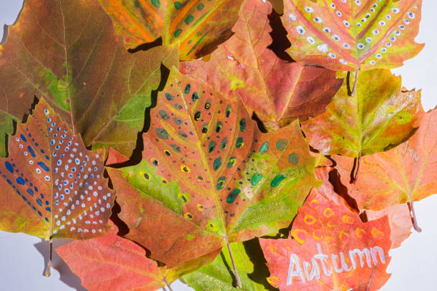 istock Painted fall colorful leaves on a white background. Word Autumn is written on a leaf 1432869498