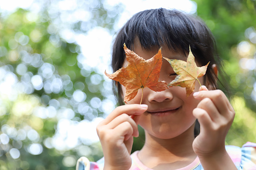 a smiling Asian girl playing maple leaf in a forest.