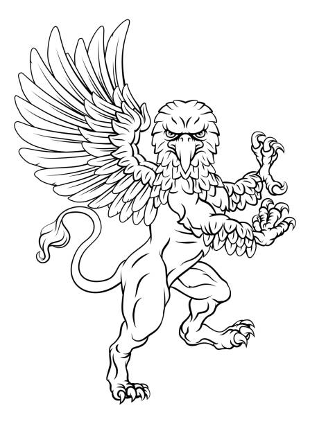 Gryphon Rampant Griffon Coat Of Arms Crest Mascot A griffin also known as a gryphon or griffon with lion body, wings and eagle head. Rampant standing on hind legs coat of arms crest mascot lion-wings stock illustrations