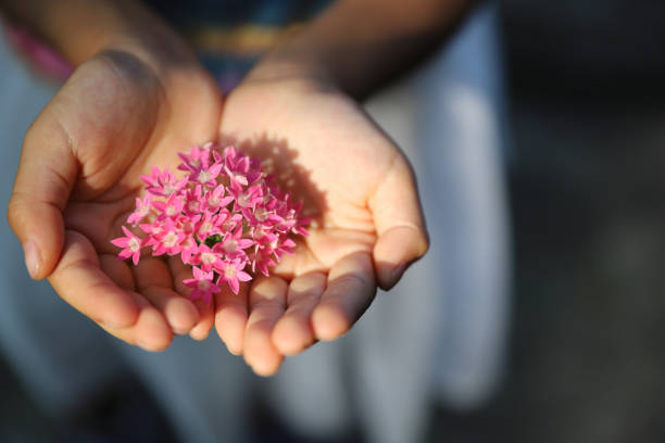 a girl holding pink petals.