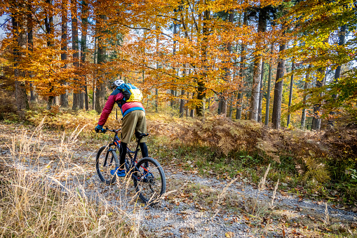 Back view of biker riding in colourful nature. Varied colour foliage in background. Adventure trip in colourful autumn forest, active lifestyle concept.