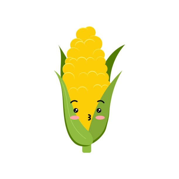 ilustrações, clipart, desenhos animados e ícones de fofo corn cob beijando desenho animado personagem ícone vetor. - corn corn crop corn on the cob food