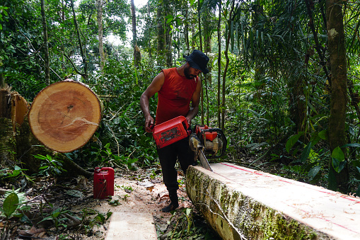 Man chopping wood with chainsaw in the Ulu Masen ecosystem Aceh, Indonesia