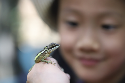 Asian girl playing with a little Lizard.