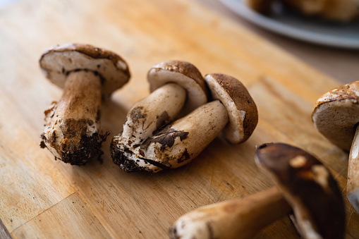 Boletus mushroom on the cutting board