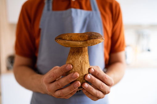 Portrait of unrecognizable male chef, holding big boletus mushroom in the kitchen