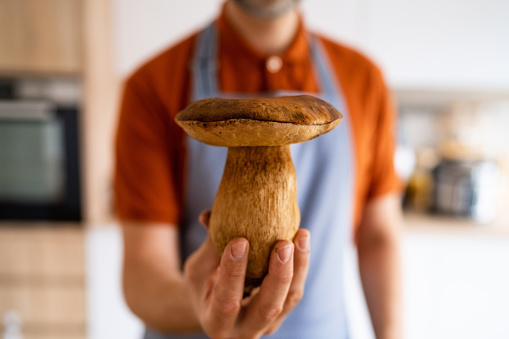 Portrait of unrecognizable male chef, holding big boletus mushroom in the kitchen