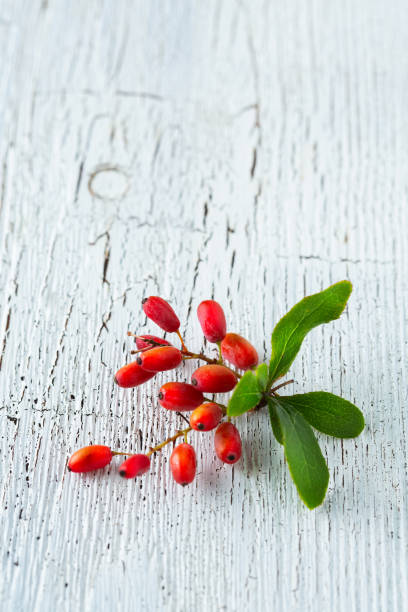 sprig of barberry on a cracked board stock photo