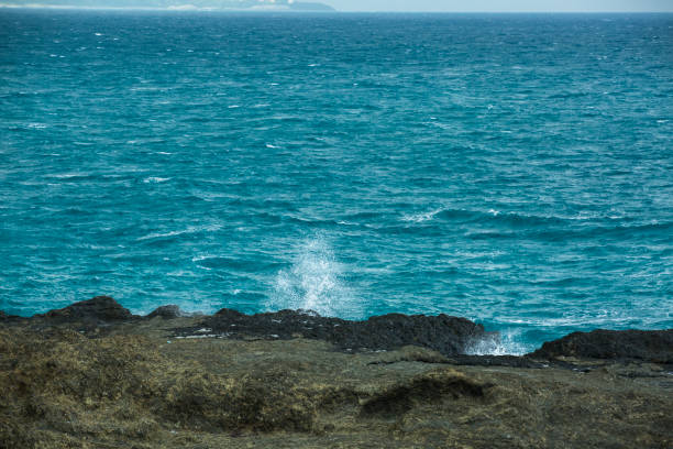 White sea wave splash water. Pacific Ocean with blue color.