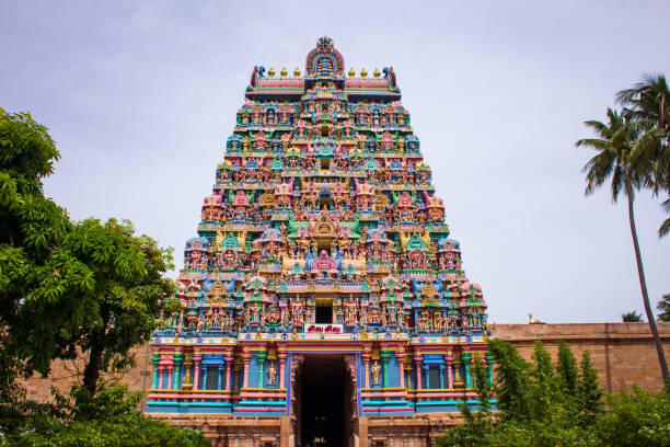 View of the main entrance tower of Jambukeswarar Temple, Thiruvanaikaval which represent element of water. Focus set on temple tower. View of the main entrance tower of Jambukeswarar Temple, Thiruvanaikaval which represent element of water. Focus set on temple tower. dravidian culture stock pictures, royalty-free photos & images