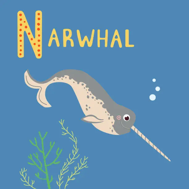 Vector illustration of Cute gray narwhal with horn vector illustration. Childish magic marine animal in an ocean with seaweed