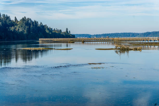 istock Nisqually Wetlands Water 5 1432899682