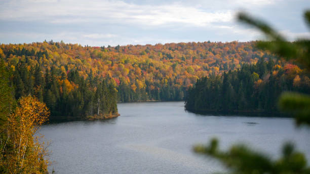 istock Lake surrounded by mountains coloured by falls leaves 1432901033